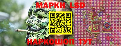 spice Кимры