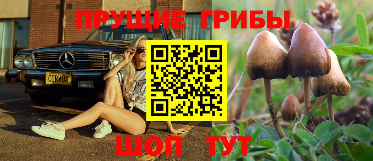 цена наркотик  Галлюциногенные грибы Cubensis  Вход с VPN  Барабинск  Галлюциногенные грибы Psilocybe 